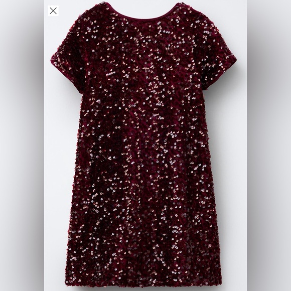 Zara Other - NWT- Zara kids Burgundy Sequin Bow Dress sz.9-10